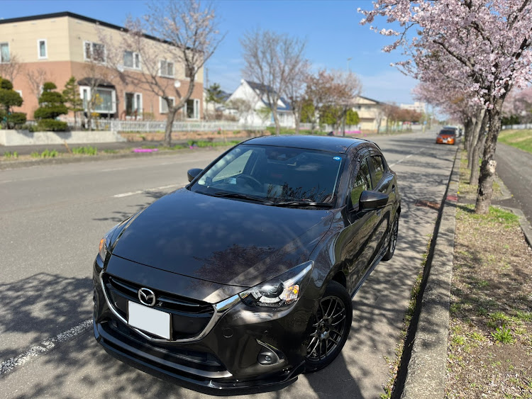 デミオのmazda demio・チタニウムフラッシュマイカ・毎日投稿継続中・今週もよろしくお願いします・桜×愛車に関するカスタム事例の投稿画像1枚目