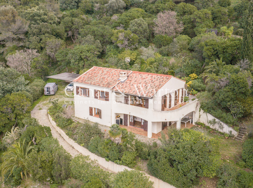 Luxury villa for sale in La Croix-Valmer (83420) - White villa with wooded garden