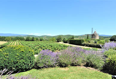 House with pool and garden 4