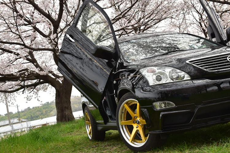 ハリアーの桜と愛車・桜とコラボ・シザーズドア・ガルウイング・インペリアルゴールドに関するカスタム事例の投稿画像2枚目