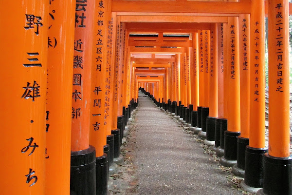 The Orange Pathway di Fos