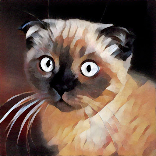 Camera Filter for Prisma