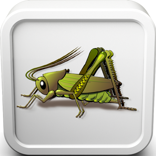 Cricket Insect Sounds Ringtone Apps On Google Play