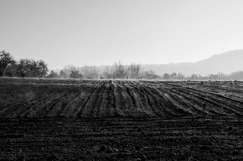 EVAPORAZIONI TERRENE di cicconefelice