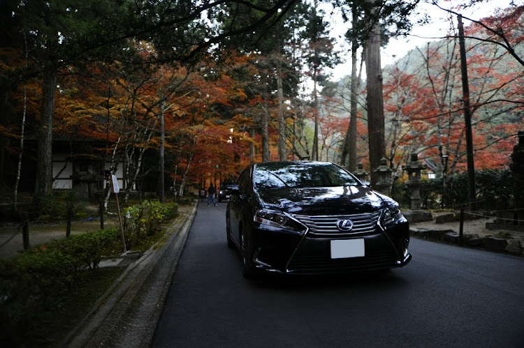 HSの仏通寺紅葉に関するカスタム事例の投稿画像10枚目