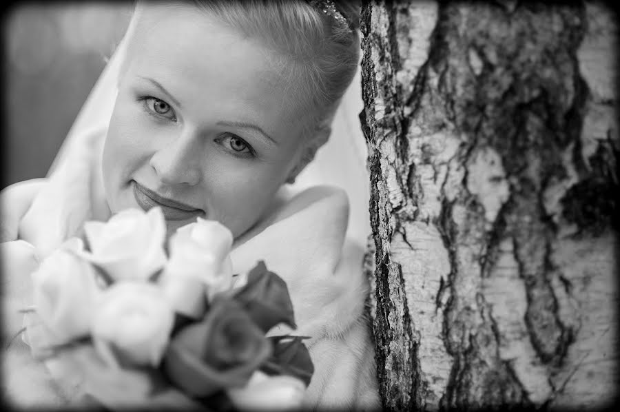 結婚式の写真家Aleks Krivcov (irlandec)。2013 11月16日の写真