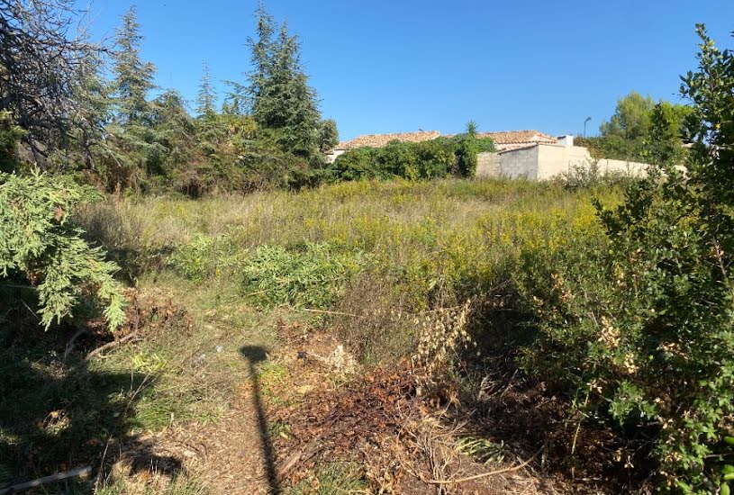  Vente Terrain + Maison - Terrain : 339m² - Maison : 98m² à Villeveyrac (34560) 