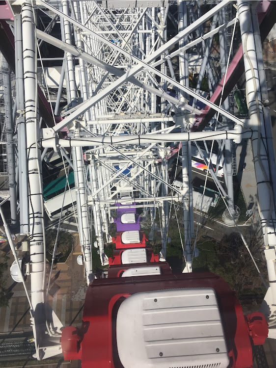 キューブの観覧車・散歩・天保山・ドライブに関するカスタム事例の投稿画像4枚目