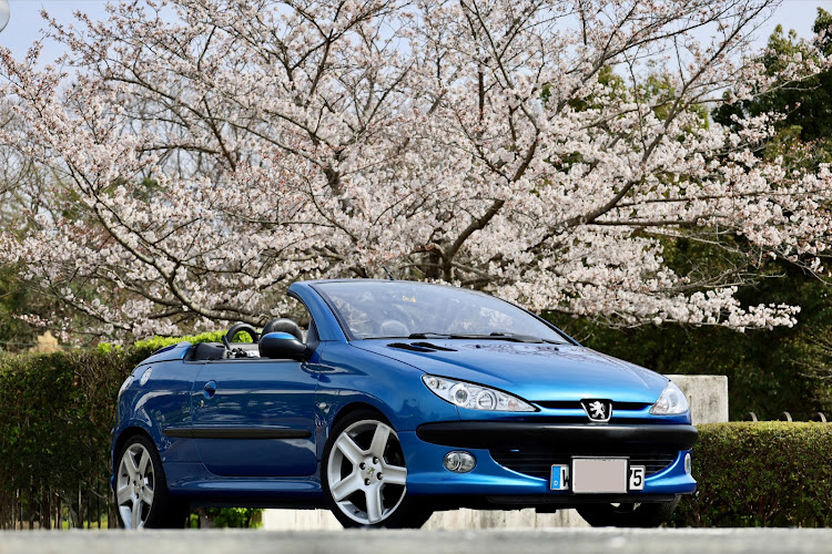 208のプジョー・discover_ct・Canon EOS RP・桜とコラボ・プジョーの日に関するカスタム事例の投稿画像3枚目