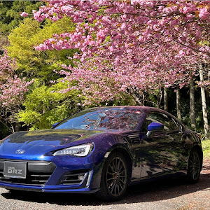 BRZ ZC6