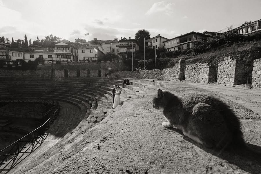 Fotograful de nuntă Sualdo Dino (sualdodino). Fotografia din 4 februarie