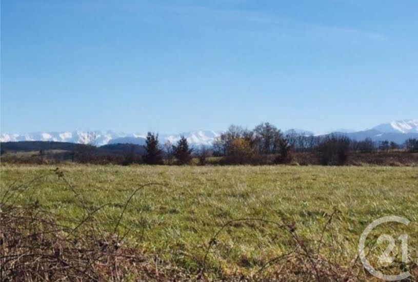  Vente Terrain + Maison - Terrain : 1 064m² - Maison : 100m² à Ausseing (31260) 