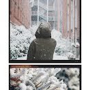 Snowy Boughs - Photo Collage item