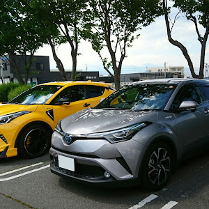 C-HR ZYX10