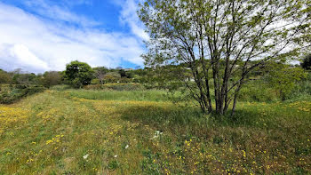 terrain à Savasse (26)