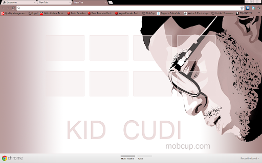 Kid Cudi(Hip Hop)