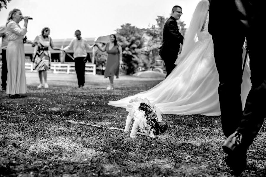 Fotógrafo de casamento Alex Fertu (alexfertu). Foto de 30 de janeiro 2023