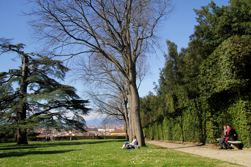 Spring in Florence di Francesca Malavasi