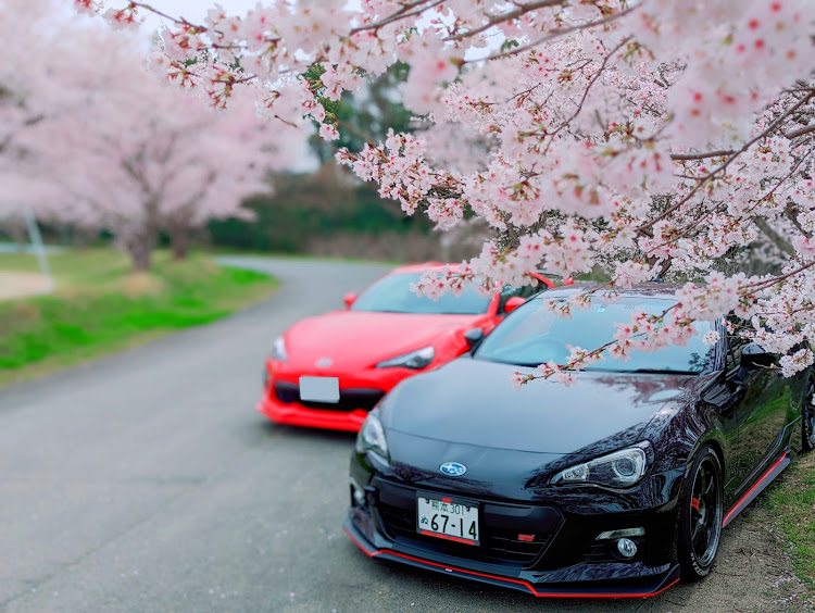 BRZの桜とコラボ🌸・サクラと愛車・誕生日・86/BRZ・デート❤️に関するカスタム事例の投稿画像1枚目