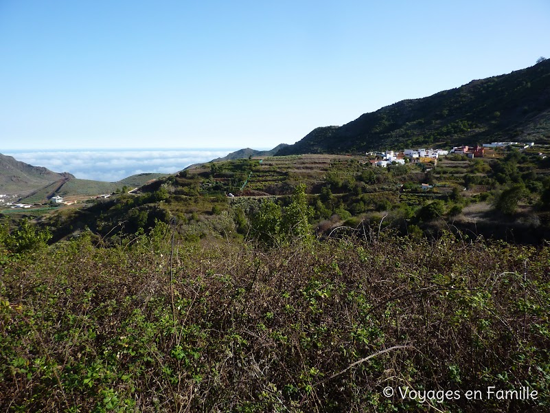 Teno, TF 436, las Portelas