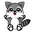 Raccoon Wallpaper