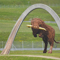 Red BULL ring di 