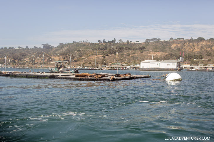 Luxury Jet Ski San Diego.