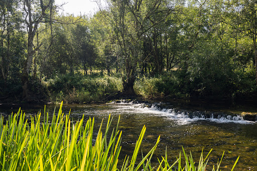 Propriété avec jardin 2