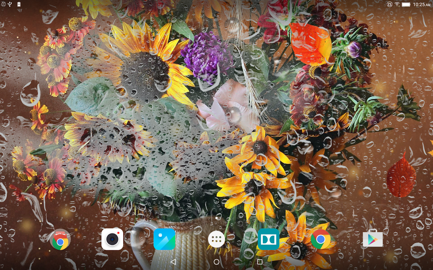 Autumn Flower Live Wallpaper - Android Apps on Google Play