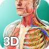 Human Anatomy icon