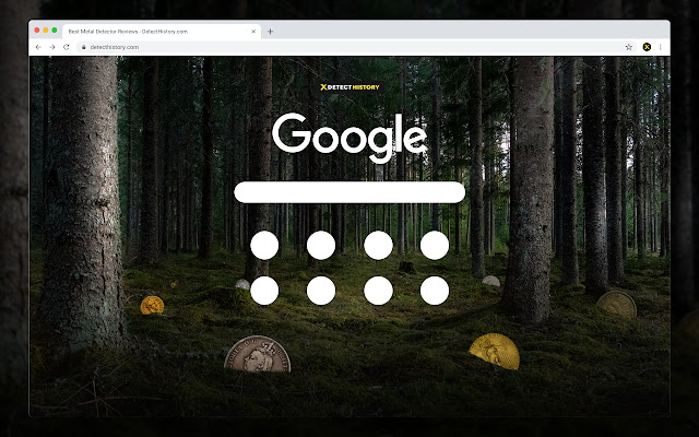 Detect History - Metal Detecting Forest chrome extension