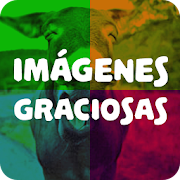 Imágenes Graciosas p Compartir  Icon