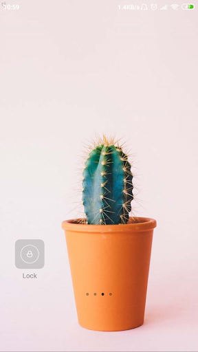 Cactus HD Wallpaper