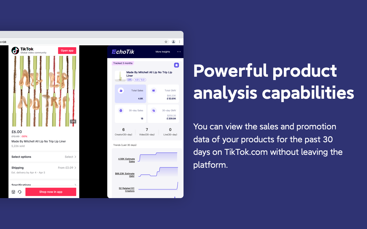 TikTok Analytics By EchoTik Preview image 11