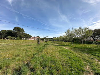 terrain à Frejus (83)