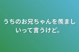 うちのお兄ちゃんを羨ましいって言うけど。