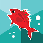 Fish Royale Apk