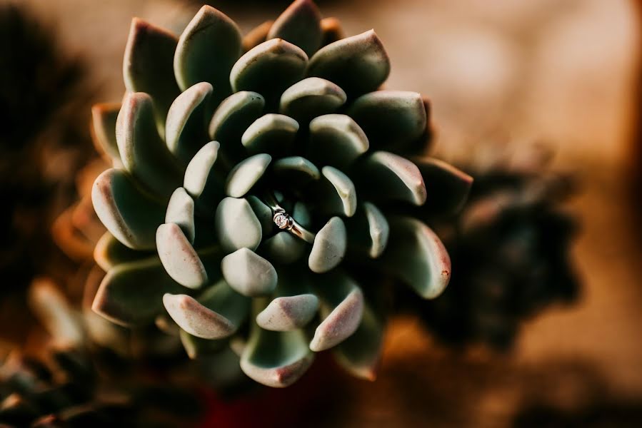 Huwelijksfotograaf Marlon Van Efferink (vanefferink). Foto van 6 maart 2019