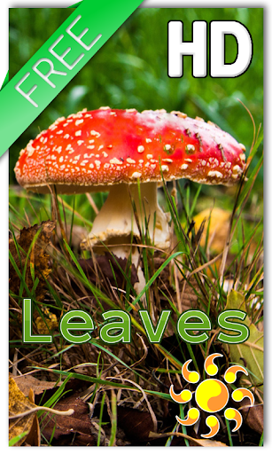 Leaves Mushroom HD LWP