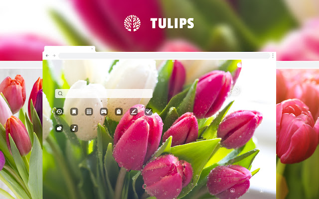 Tulips Flowers HD Wallpaper New Tab Theme