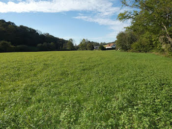 terrain à Chéraute (64)