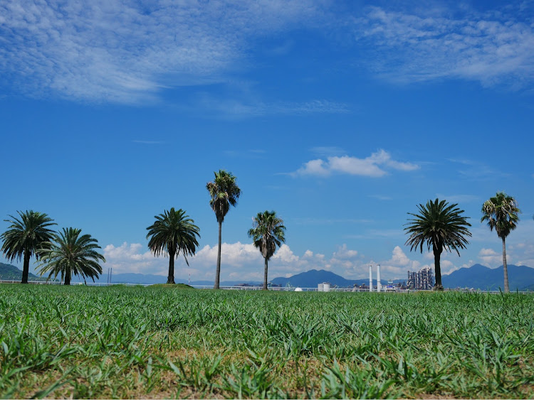 クロスビーの9月もよろしくお願いします。・海浜公園・夏・海に関するカスタム事例の投稿画像9枚目