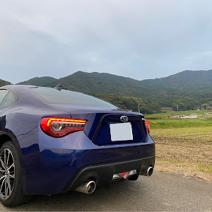 BRZ ZC6