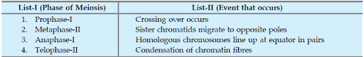 Meiosis