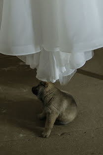 Photographe de mariage Irina Macebura (lotos58). Photo du 16 octobre 2023