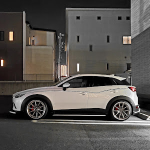 CX-3 DKEFW