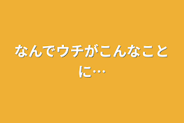 なんでウチがこんなことに…