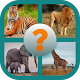 Download Animal Spelling- A spelling learning game. For PC Windows and Mac