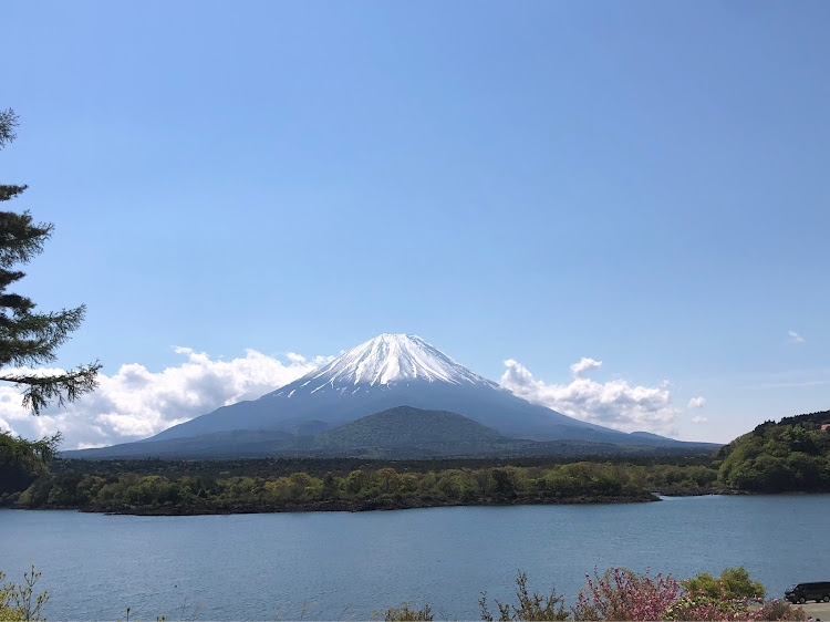 の投稿画像8枚目