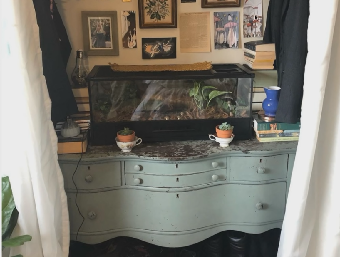 Terrarium on dresser in nook